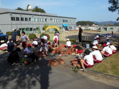 苗の植え付けの様子