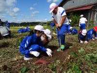 舘矢間小学校の児童が縦割り農園活動している様子