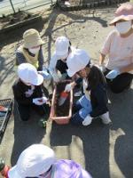 金山小学校の志教育、花のたすきプロジェクト