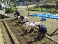 金山小学校の志教育、花のたすきプロジェクト