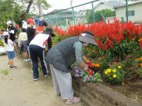 金山小学校の花壇整備