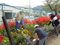 金山小学校の花壇整備