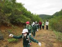 金山小学校、閉校記念全校遠足(小富士山おふじやま登山)