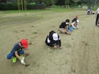 金山小学校の朝会(除草朝会)