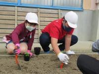 金山小学校の花苗植え