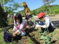 金山小学校の花壇準備作業