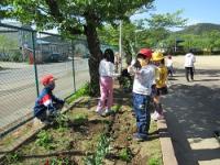 金山小学校の花壇準備作業