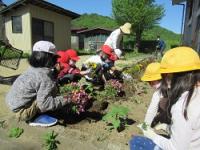 金山小学校の花壇準備作業