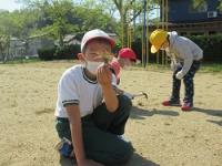 金山小学校の除草朝会