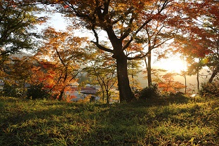 紅葉と夕日